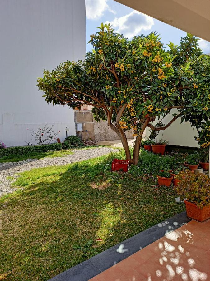 A Nespulara Bed and Breakfast Galati Marina Εξωτερικό φωτογραφία